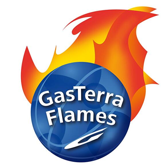 GasTerra Flames